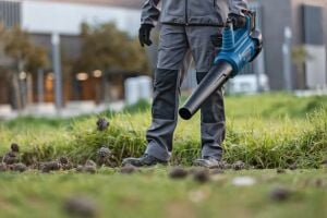 BOSCH Profesyonel GBL 18 V-750 Şarjlı Üfleme Makinası (Akü Ve Şarj Cihazı Hariç)