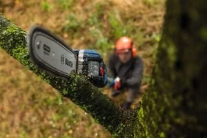 BOSCH GKE 18V-25 TP Şarjlı Teleskopik Zincirli Dal Kesme Budama (Akü Ve Şarj Cihazı Hariç)