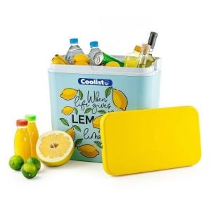 COOLIST CLB24LM 2 Adet 400 Gr Buz Kaseti + 24 Litre Limon Desenli Buzluk