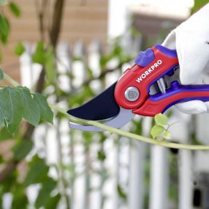WORKPRO Profesyonel Bağ Bahçe Budama Makası (WP333009)