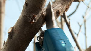 BOSCH PRO PRUNER Akülü Şarjlı Budama Makası (Akü - Şarj Aleti Hariç)