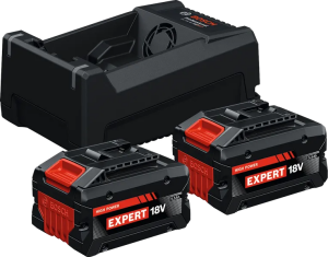 BOSCH Expert EXBA18 Volt 5.5 Ah 2'li Akü Seti