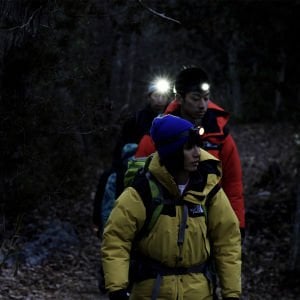 LEDLENSER Siyah/Gri Kafa Lambası (501597)