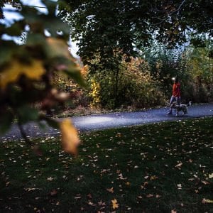 LEDLENSER HF4R Core Siyah Şarjlı Kafa Feneri (502790)