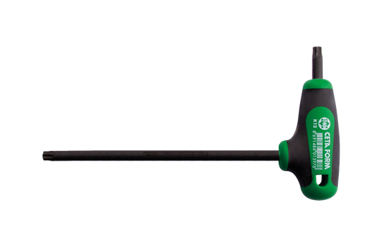 CETA-FORM K12-010-100 T Saplı Torx Alyan T10